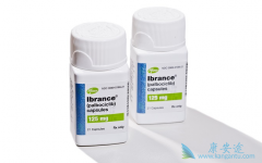 ��������/Palbociclib��ר���о�