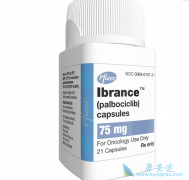 ������/Palbociclib�������ٰ��ٴ�����