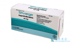 ������/��������ƶ���θ������������ҩ���Ӧ�Բ�����Σ�