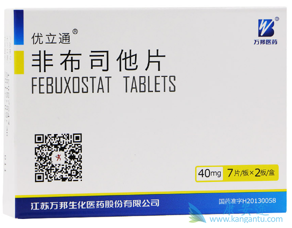 非布索坦 非布索坦