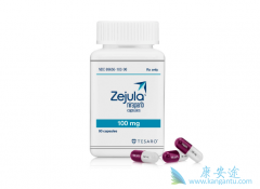 ��������/Zejula˵��