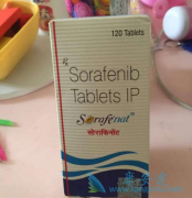 �༪��/�����������ð�ɳ��������ǿ���Ƹΰ�����