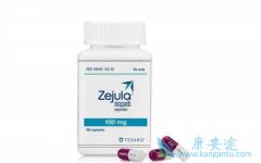 Niraparib/���������밲ο����Ч���ȶ�