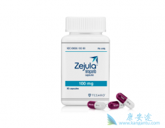 Zejula/niraparib�ܽ�������չ���������ս���32%