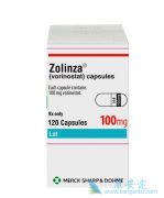 vorinostat/����ŵ˾��ͨ������mTOR;����������������