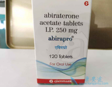 ����/���������ļ����汾