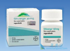 Regorafenib/���������Ƹ����Խ���ĸϸ��������Ч�Ͱ�ȫ��