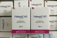 ��������/palbociclib�۸񰺹�