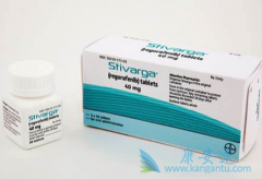 ������/regorafenibǱ�ڵ����ݻ���