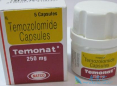 ��Ī��(temozolomide)���÷���ע������