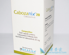 ����������������������ڵ�Ӱ��