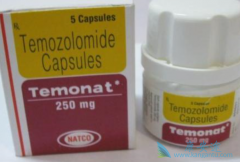 ��Ī��(temozolomide)��ҩ�Ͷ�������