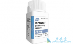 ����������/Palbociclib���԰������һ���ؼ��ĵ����ʼ���