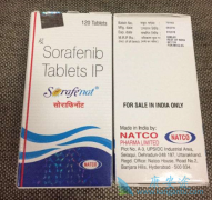 ��������(Sorafenib)������Ӧ����ļ�������