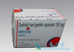 ��������/ZYKADIA����Ч�밲ȫ��