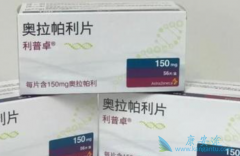 ���ΰ�����������Ǯ��