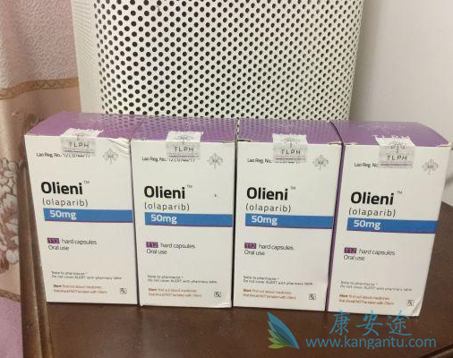 老挝奥拉帕尼多少钱 老挝奥拉帕尼多少钱