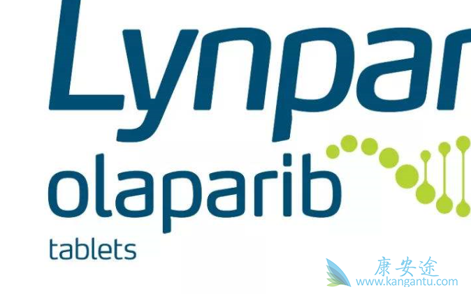 老挝奥拉帕尼多少钱 老挝奥拉帕尼多少钱