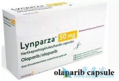 �������������ʲô�����򵽣�