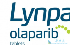 ����������Ҫһֱ����