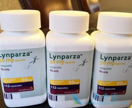 老挝奥拉帕尼多少钱 老挝奥拉帕尼多少钱