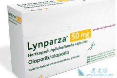 ���������뻯�Ƴ�ͻ��