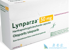 �ձ��а���������