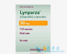 ��������ԭ�Ͽ��Գ���