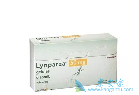 奥拉帕尼胰腺癌 奥拉帕尼胰腺癌