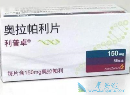 奥拉帕尼使用说明 奥拉帕尼使用说明