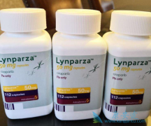 ����������ʲô����