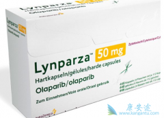 ���������Ƴ�