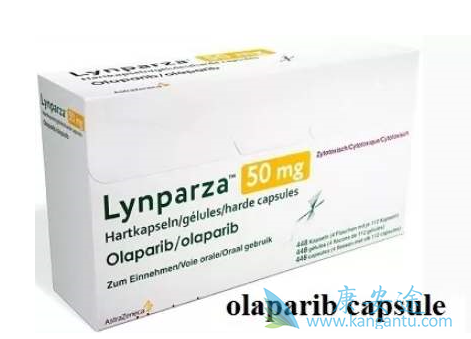 奥拉帕尼卵巢癌的适应症 奥拉帕尼卵巢癌的适应症