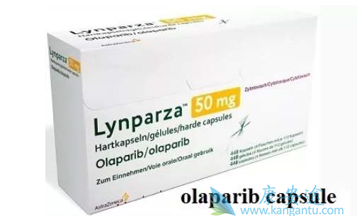 奥拉帕尼的优势人群 奥拉帕尼的优势人群