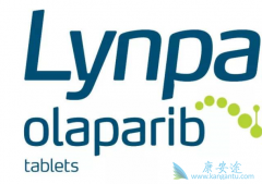 ������������ǰ���ٰ�Ч����Σ�