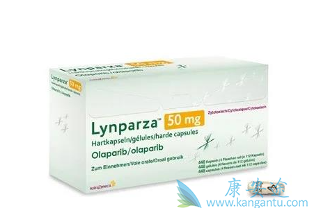 奥拉帕尼指南 奥拉帕尼指南