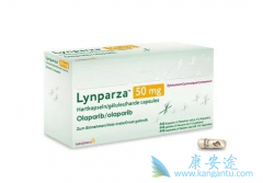 ���������Ƽ�����