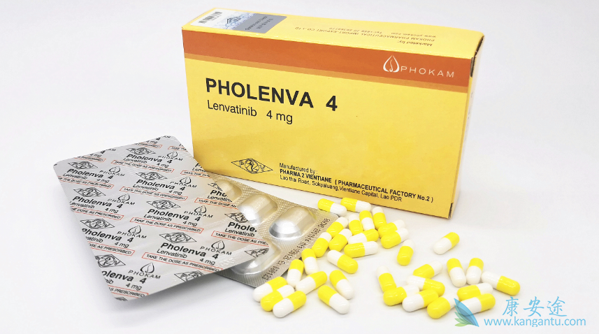 老挝乐伐替尼的价格是多少 老挝乐伐替尼的价格是多少