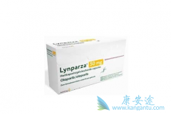 ������������ߴ������