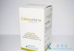 ����������ٴ�ҩ������ѧ��ҩЧѧ