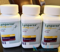 ���ΰ����������ٴ���Ӱ��