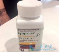 ��������ʲôʱ������й��г��ģ�