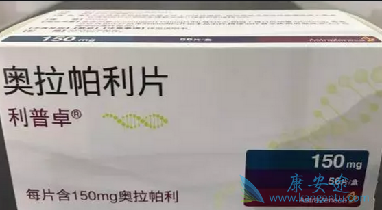 奥拉帕尼在卵巢癌领域有两个方向 奥拉帕尼在卵巢癌领域有两个方向