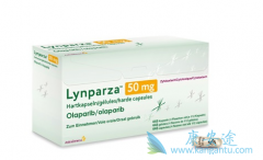 �����������ѳ�������ķ�չ·��