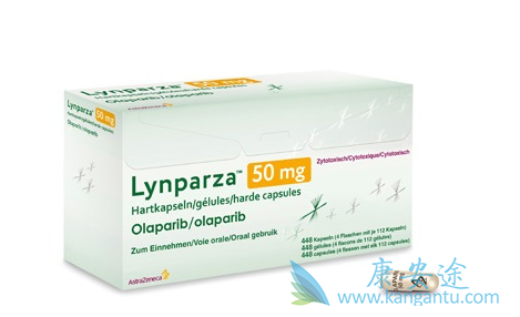 奥拉帕尼在卵巢癌领域的发展路径 奥拉帕尼在卵巢癌领域的发展路径