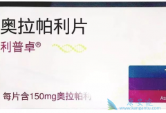 ����������Ǳ��������Ʒ���