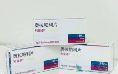 ��������İ�ȫ��