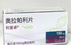 ��������������Ч����