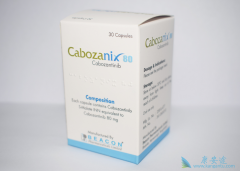 ����������ʲô��