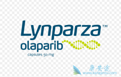 ����������һ�ֻ�����DNA�޸�ҩ��